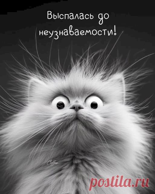 723fbb31.jpg (513×640)