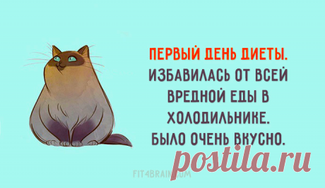 Начало положено :)