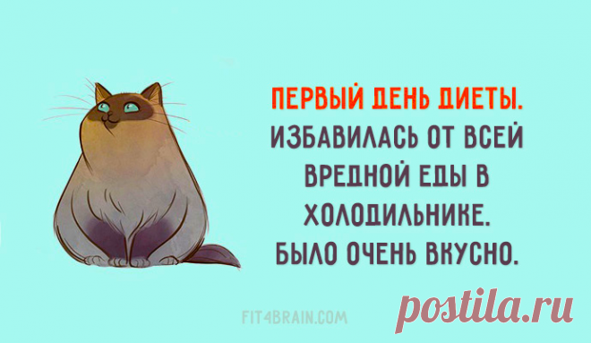 Начало положено :)