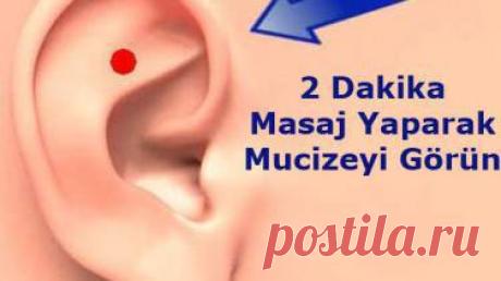 Точка 2 минуту Чудо Распечатать этот свидетель Регистрация | Я hatunzade.co