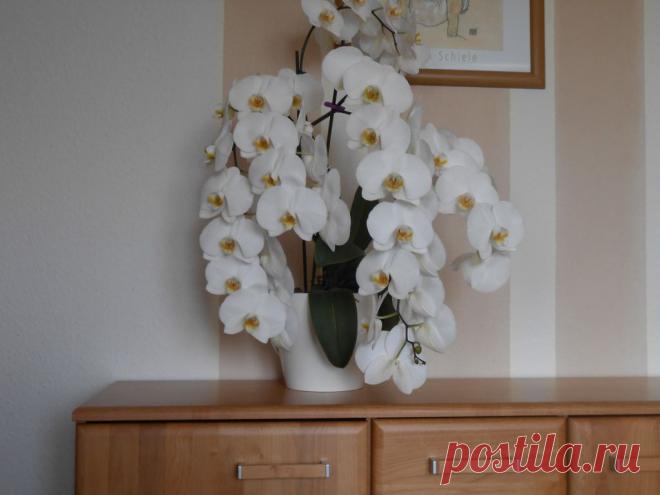 МОРЕ ПОЗИТИВА!!!