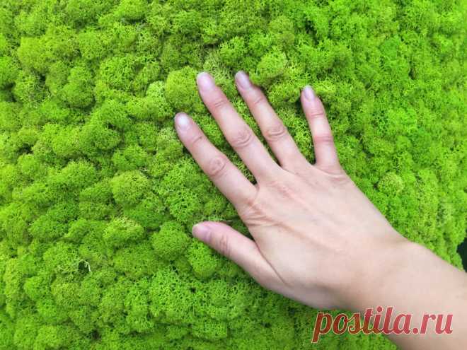 Шокирующие факты о женском здоровье, красоте и гигиене прошлого