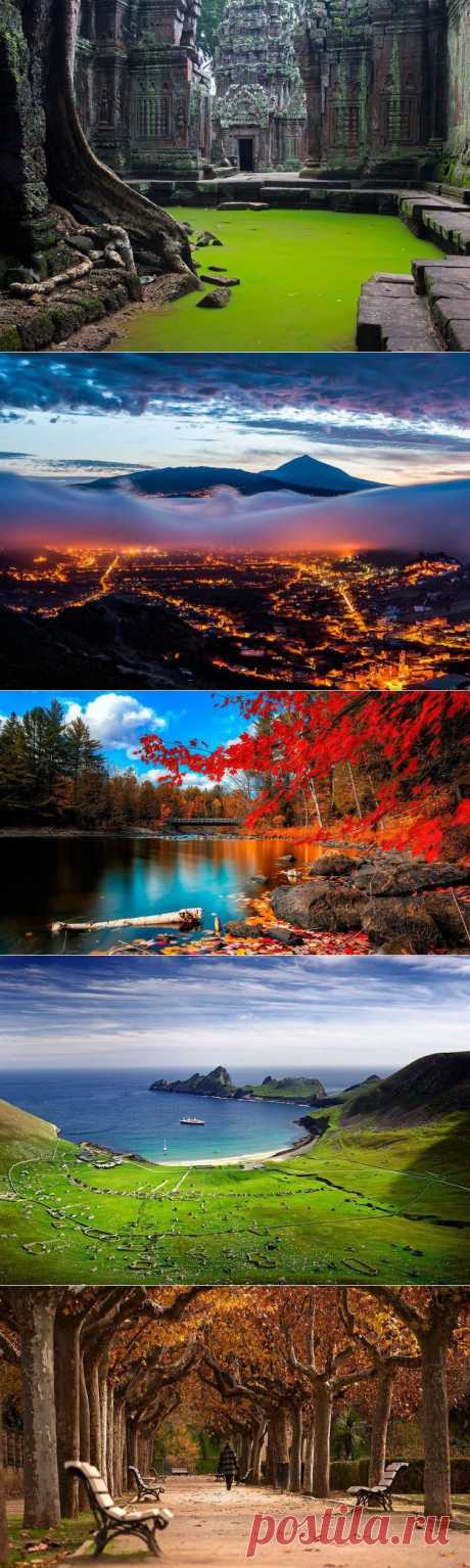 Поражающие красотой / Туристический спутник