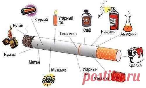 Из чего состоит сигарета