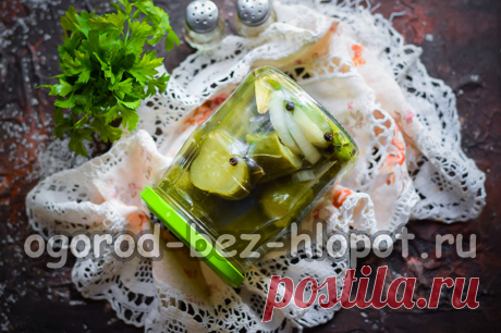 Маринованные огурцы как болгарские: рецепт самые вкусные