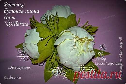 Бутоны пиона из фома сорта "Ballerina". Автор Ольга Сыротюк