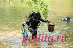 5 июня отмечается 