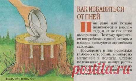 Как избавиться от пней