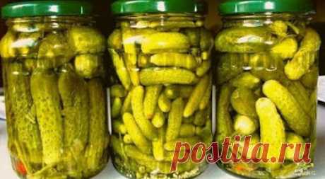Чудесная кухня: Маринованные огурчики