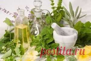 12 необходимых трав для женского здоровья | Здоровье | Само Совершенство