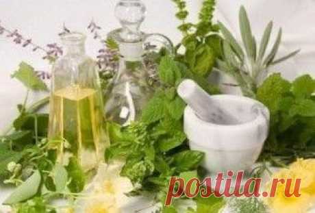 12 необходимых трав для женского здоровья | Здоровье | Само Совершенство