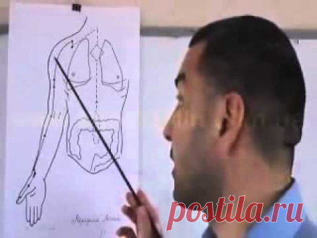 Знакомство с иглотерапией и 12 ю меридианами 1 Меридиан Легких P в иглотерапии