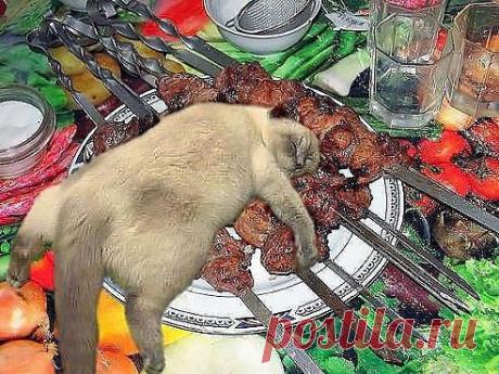 (99) Одноклассники