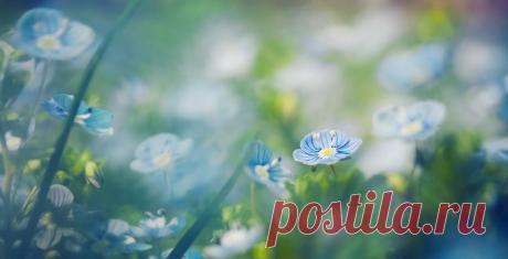 Поиск@Mail.Ru