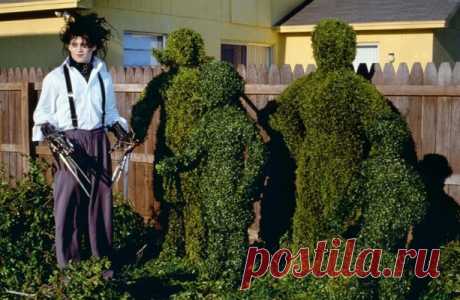 [quiz] Угадай фильм Тима Бёртона по кадру |9
из 10
Истинный бертоновец