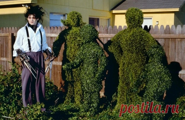 [quiz] Угадай фильм Тима Бёртона по кадру |9
из 10
Истинный бертоновец