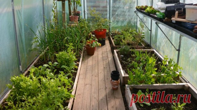 Красивые грядки своими руками: 50 идей, как украсить огород и вырастить хороший урожай