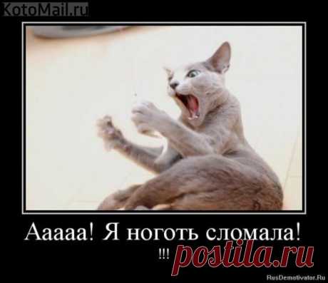 Ноготь сломала. | KotoMail.ru