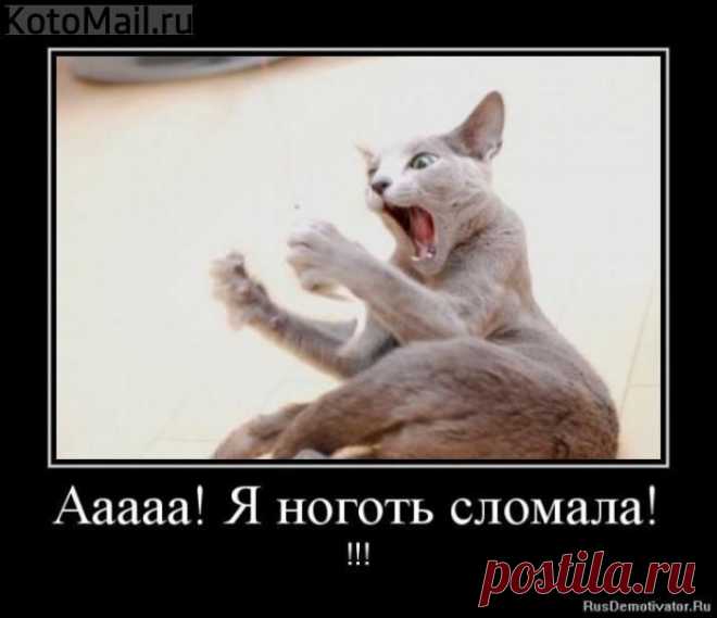 Ноготь сломала. | KotoMail.ru