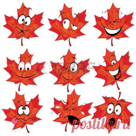 Red Maple Leaf Mascot With Many Expressions Royalty Free Cliparts, Vectors, And Stock Illustration. Image 15017267.