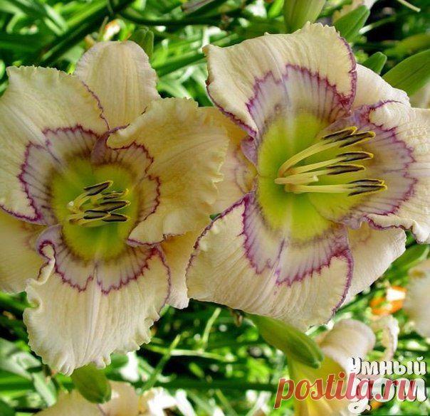 Фотографии на стене сообщества | 32 837 фотографий