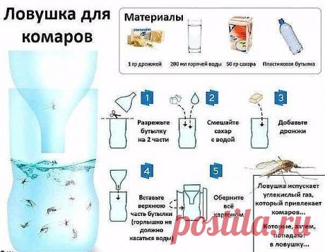 ЛОВУШКА ДЛЯ КОМАРОВ !!!