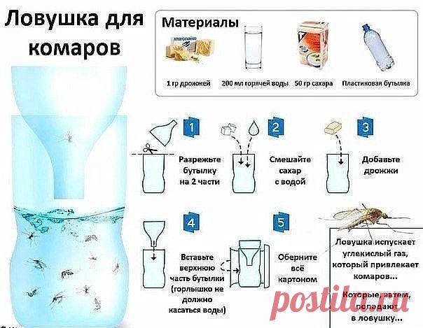 ЛОВУШКА ДЛЯ КОМАРОВ !!!