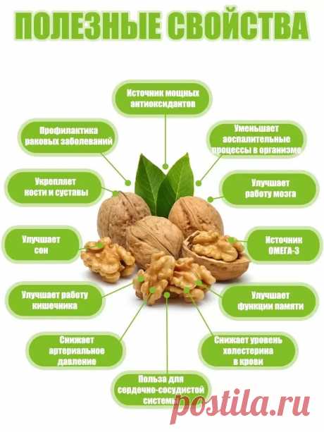 Полезные свойства грецкого ореха