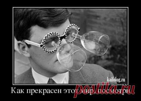 Лучшие демотиваторы за неделю - 271 (50 картинок)