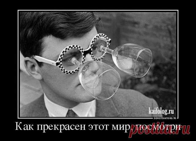 Лучшие демотиваторы за неделю - 271 (50 картинок)