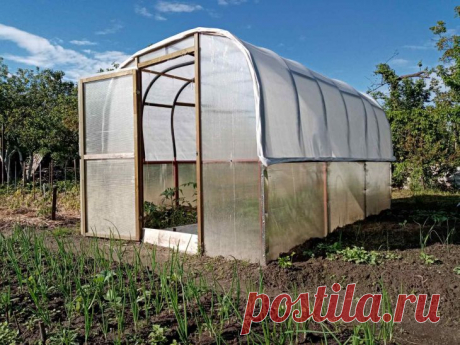 Что проверить в теплице до конца августа: 3 пункта, которые спасут урожай следующего года. Август предоставляет последний шанс решить проблемы, способные испортить следующий сезон.