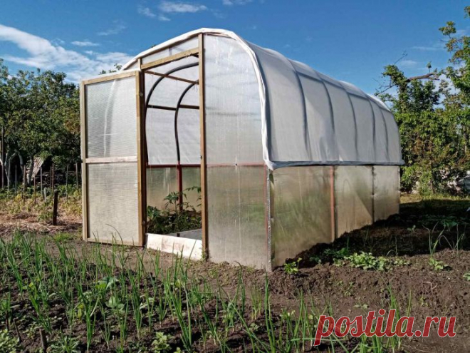 Что проверить в теплице до конца августа: 3 пункта, которые спасут урожай следующего года. Август предоставляет последний шанс решить проблемы, способные испортить следующий сезон.