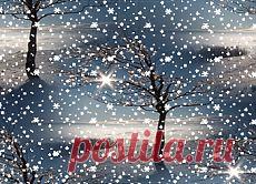 Люблю,люблю...