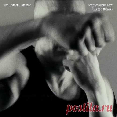 The Hidden Cameras - Brontosaurus Law (Kalipo Remix) (2025) [EP] Artist: The Hidden Cameras Album: Brontosaurus Law (Kalipo Remix) Year: 2025 Country: Canada Style: Indie Pop, New Wave, Electropop