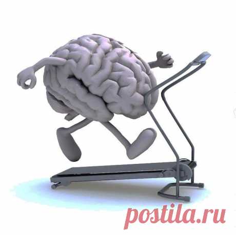 Гимнастика для мозга / Будьте здоровы