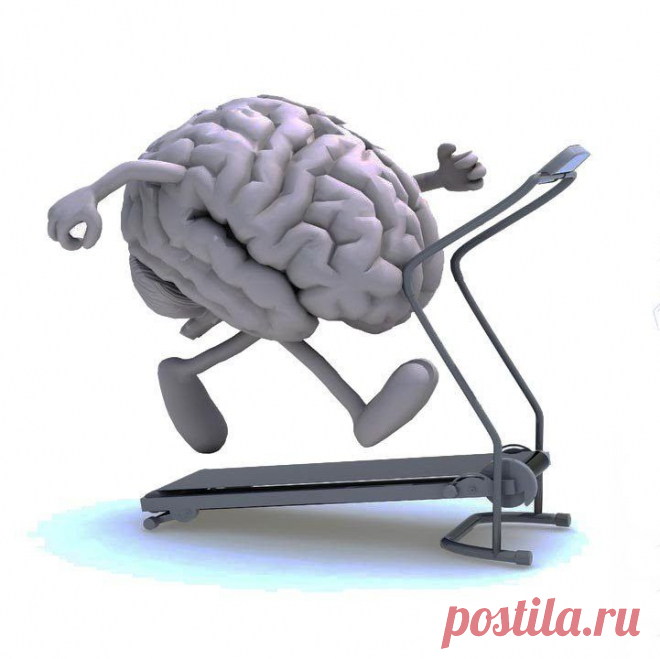 Гимнастика для мозга / Будьте здоровы