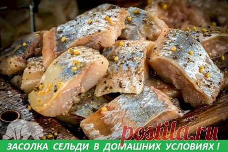 (72) Одноклассники