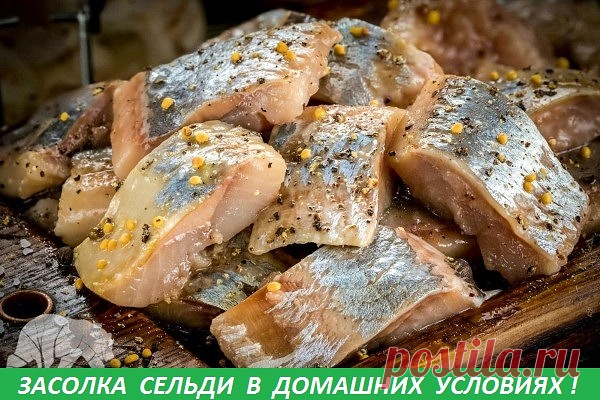 (72) Одноклассники