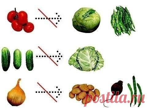 ОВОЩИ, КОТОРЫЕ НЕ МОГУТ РАСТИ РЯДОМ 

Некоторые овощи совершенно не могут сосуществовать на одной грядке. Если на даче для огорода практически нет места, хороший выход – смешанная грядка. Но некоторые овощи, все-таки, придется посадить отдельно: среди растений, оказывается, тоже есть принципиально несовместимые. Причина подобной нелюбви – в различных корневых и эфирных выделениях. В частности, не могут расти рядом томаты и кольраби, огурцы и капуста. Чтобы не пострадали лу...