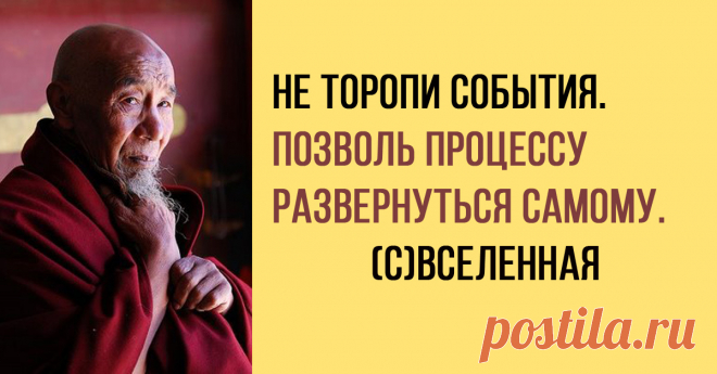 Ты не можешь знать, что добро, что зло. 65 мудрых законов Вселенной!