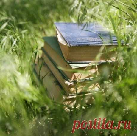 Растения обереги