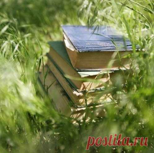 Растения обереги