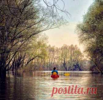 Лодка моя легка (Дикая Собака Динго) / Стихи.ру