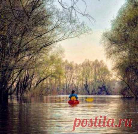 Лодка моя легка (Дикая Собака Динго) / Стихи.ру