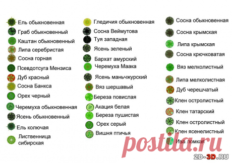 условные обозначения растений в ландшафтном дизайне: 2 тыс изображений найдено в Яндекс Картинках