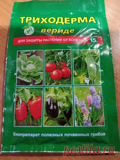 Кто такой Триходерма и чем он полезен садоводу. Нюансы применения | Цветочная няша | Дзен