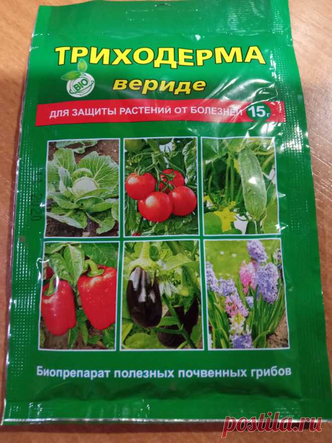 Кто такой Триходерма и чем он полезен садоводу. Нюансы применения | Цветочная няша | Дзен