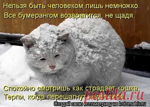"чИтАй" только не "пЛаЧь''
Елена Ануфриева