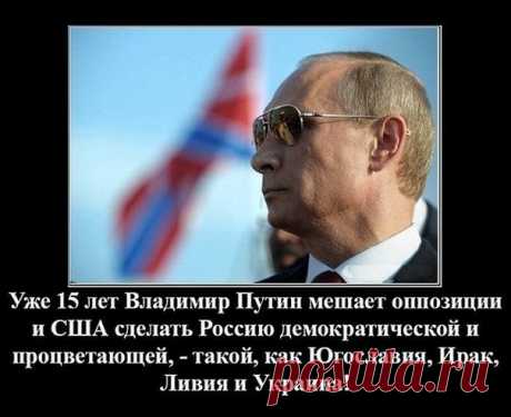 Я очень уважаю Владимира Владимировича. Мне кажется, это тот лидер, который нужен сегодня России. Владимир Владимирович — очень глубокий, взвешенный человек. Он умеет слушать. Можете говорить что угодно, но это тот человек, который реально очень много сделал для России. Без него у нас давно уже не было бы страны, и мы бы распались, как это предсказывал Бжезинский. (Геннадий Тимченко)