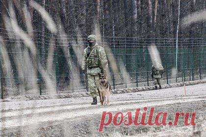 В России оценили обстановку на границе Украины и Белоруссии